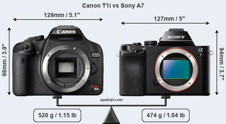 Size Canon T1i vs Sony A7