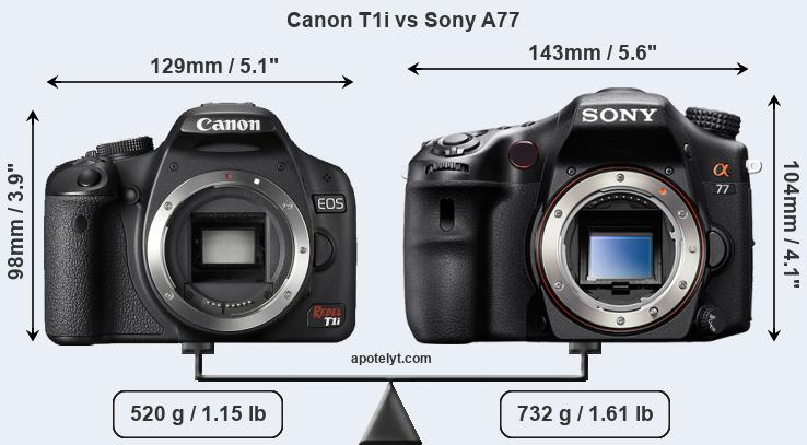 Size Canon T1i vs Sony A77