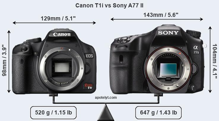 Size Canon T1i vs Sony A77 II