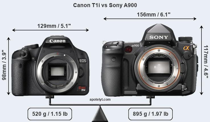 Size Canon T1i vs Sony A900