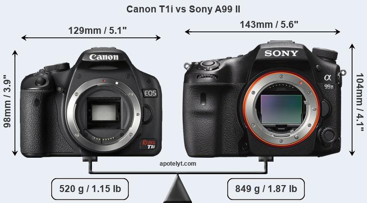 Size Canon T1i vs Sony A99 II