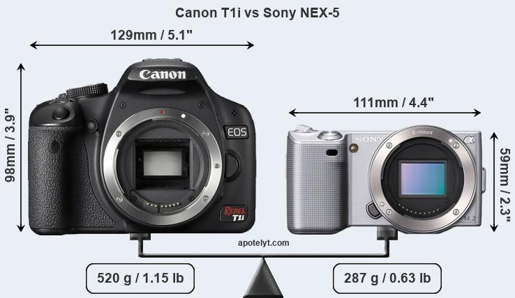 Size Canon T1i vs Sony NEX-5