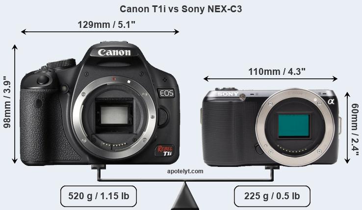 Size Canon T1i vs Sony NEX-C3