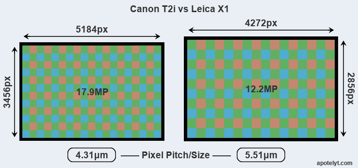 T2i versus X1 MP