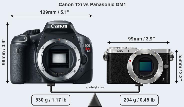 Size Canon T2i vs Panasonic GM1