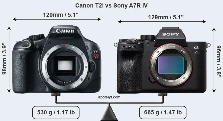 Size Canon T2i vs Sony A7R IV