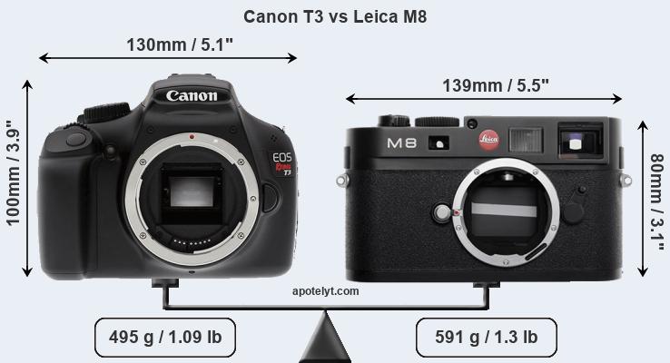 Size Canon T3 vs Leica M8