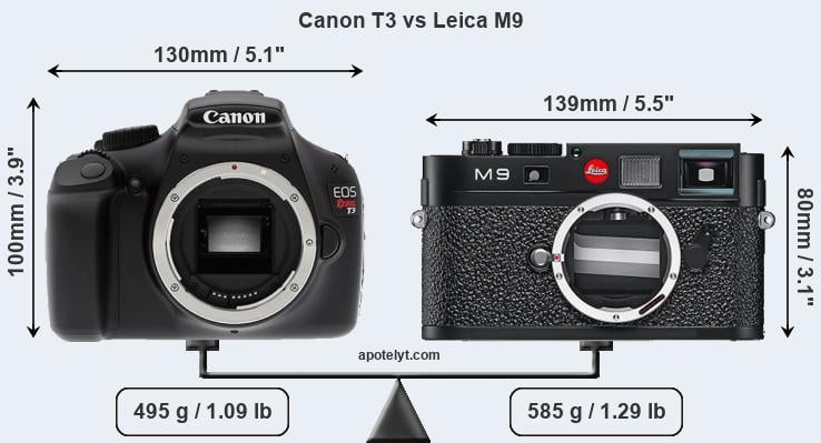 Size Canon T3 vs Leica M9