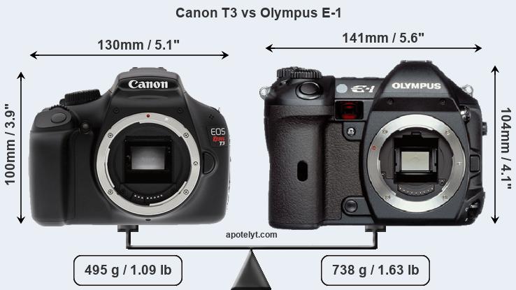 Size Canon T3 vs Olympus E-1
