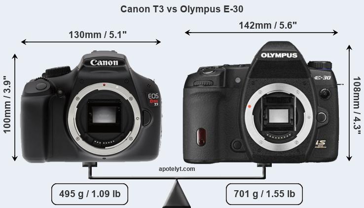 Size Canon T3 vs Olympus E-30