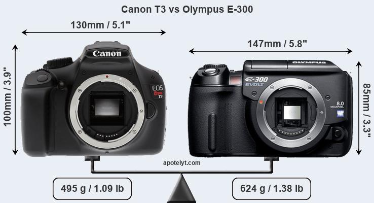 Size Canon T3 vs Olympus E-300