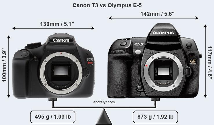 Size Canon T3 vs Olympus E-5