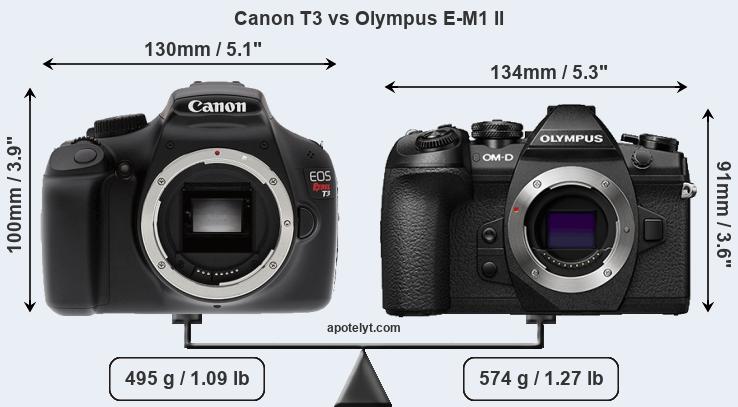 Size Canon T3 vs Olympus E-M1 II