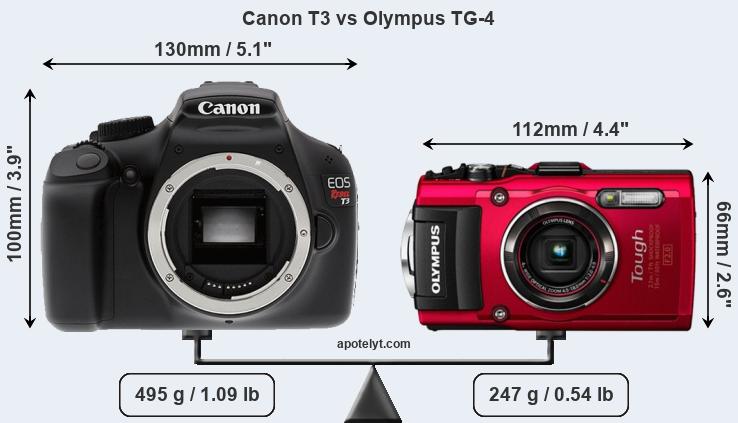 Size Canon T3 vs Olympus TG-4
