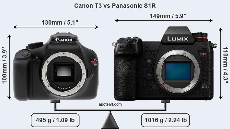 Size Canon T3 vs Panasonic S1R