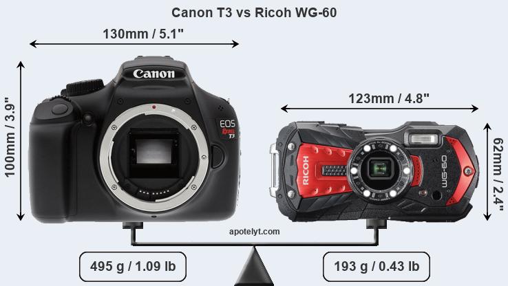 Size Canon T3 vs Ricoh WG-60