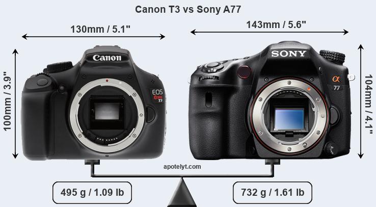 Size Canon T3 vs Sony A77