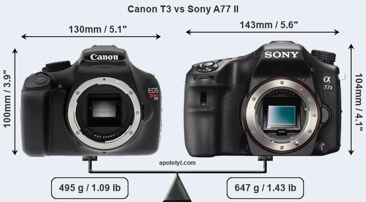 Size Canon T3 vs Sony A77 II