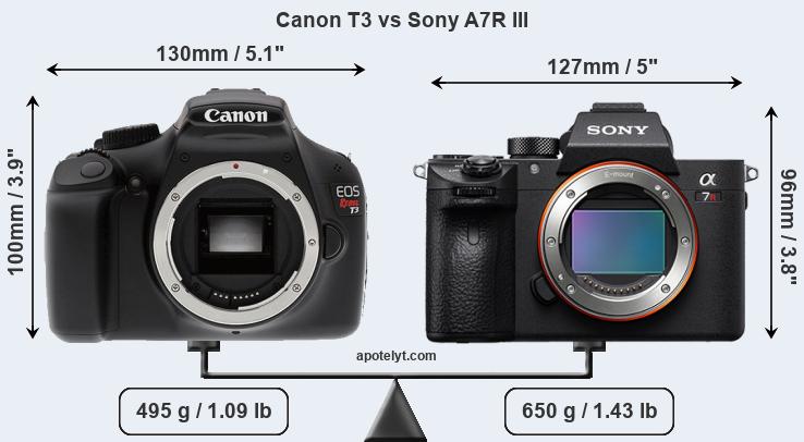 Size Canon T3 vs Sony A7R III