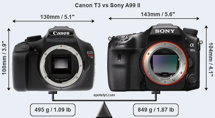 Size Canon T3 vs Sony A99 II