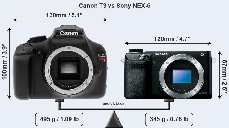 Size Canon T3 vs Sony NEX-6