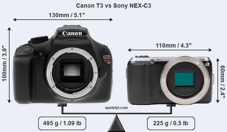 Size Canon T3 vs Sony NEX-C3
