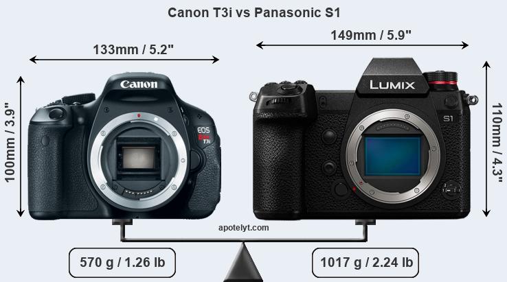 Size Canon T3i vs Panasonic S1