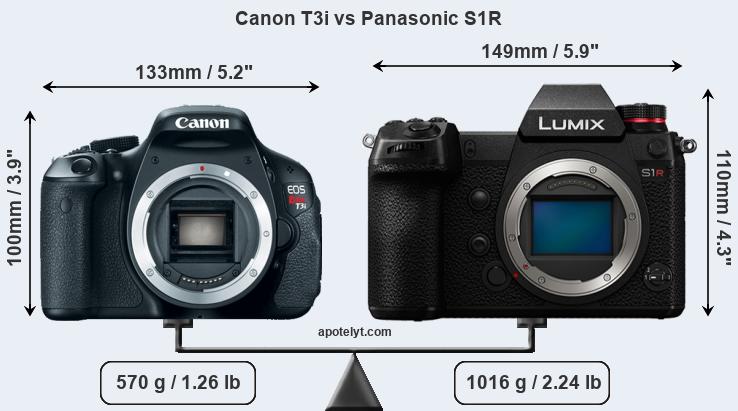 Size Canon T3i vs Panasonic S1R