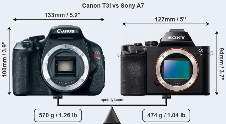 Size Canon T3i vs Sony A7