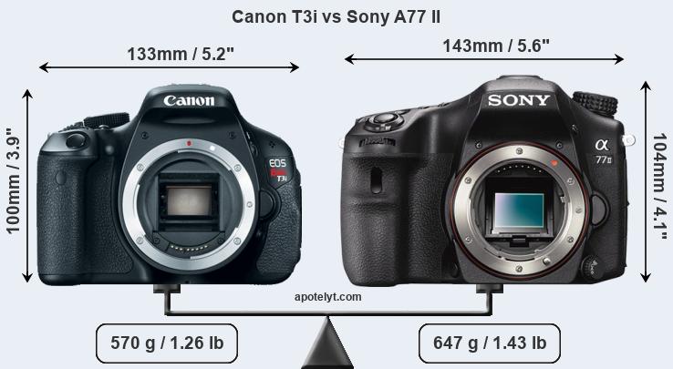 Size Canon T3i vs Sony A77 II