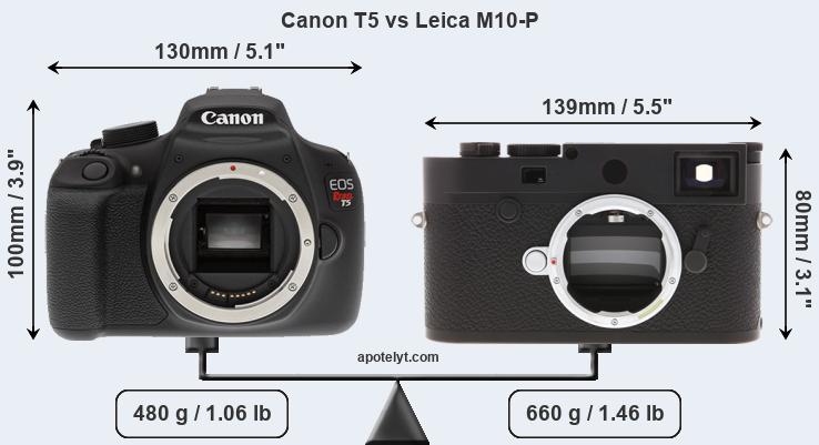 Size Canon T5 vs Leica M10-P