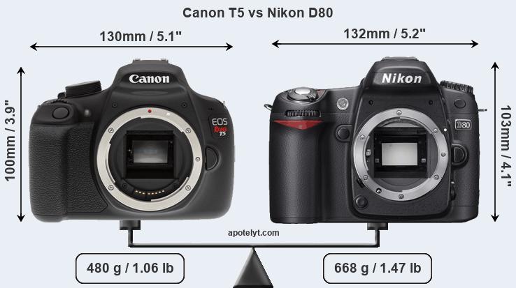Size Canon T5 vs Nikon D80