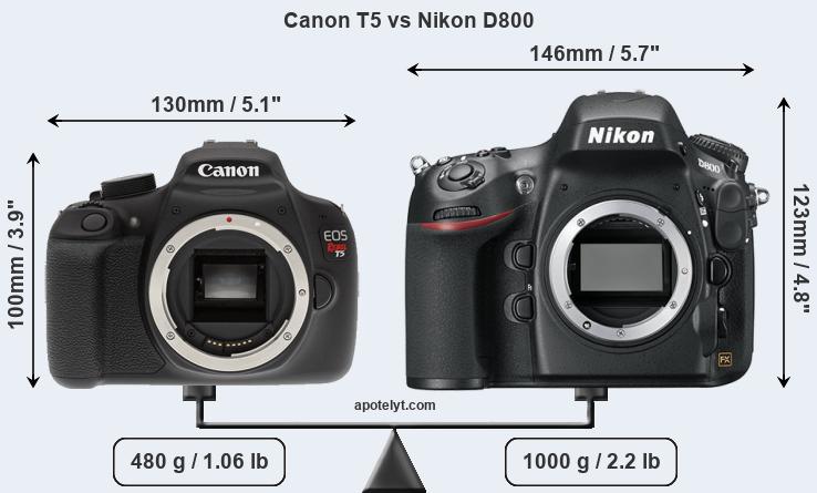 Size Canon T5 vs Nikon D800