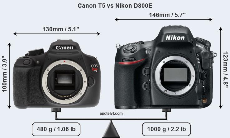 Size Canon T5 vs Nikon D800E