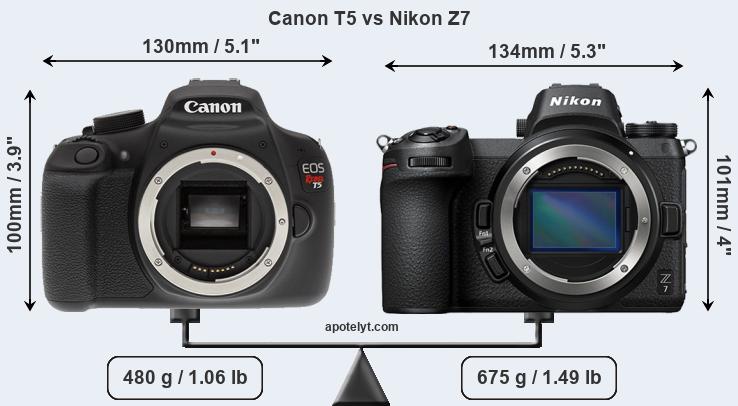 Size Canon T5 vs Nikon Z7