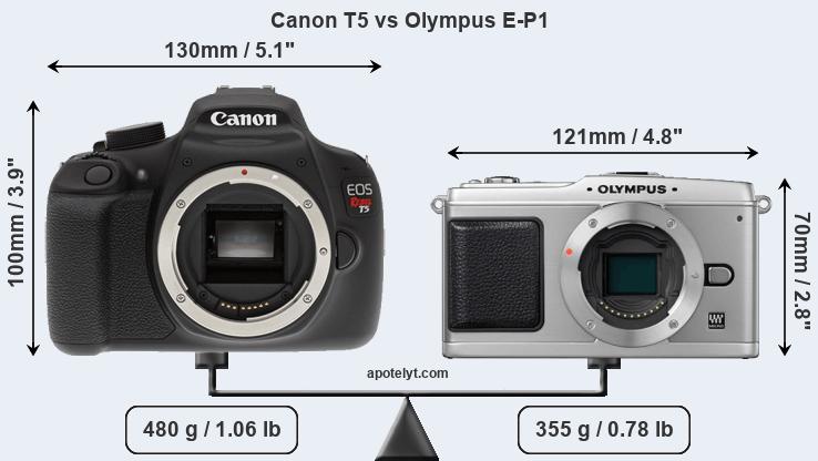 Size Canon T5 vs Olympus E-P1