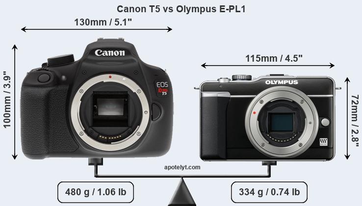 Size Canon T5 vs Olympus E-PL1