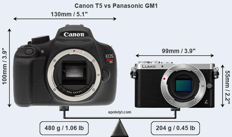 Size Canon T5 vs Panasonic GM1