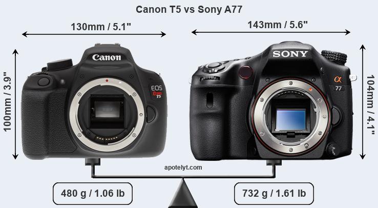 Size Canon T5 vs Sony A77
