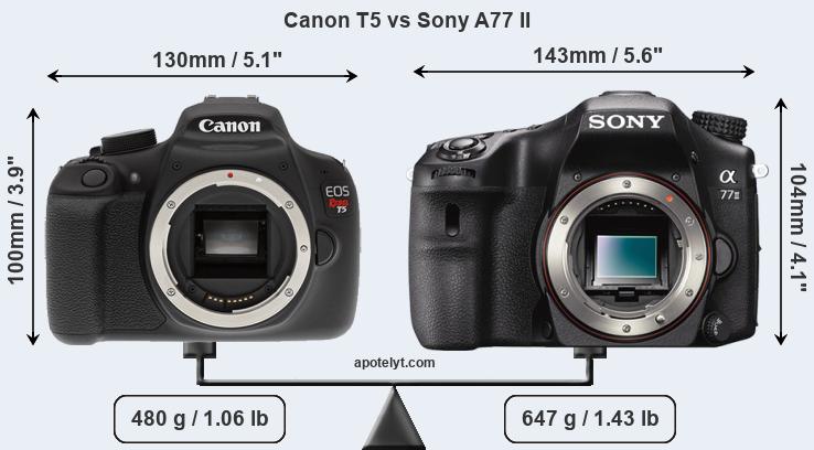 Size Canon T5 vs Sony A77 II