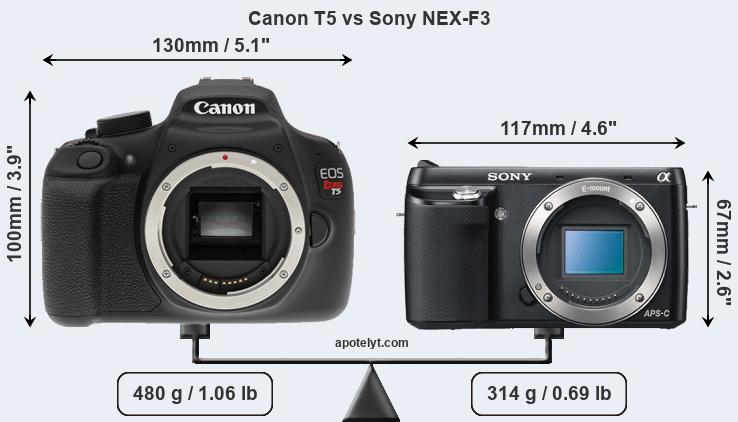 Size Canon T5 vs Sony NEX-F3
