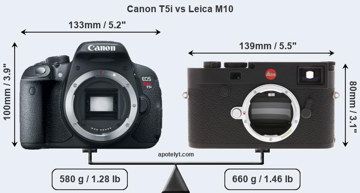 Size Canon T5i vs Leica M10
