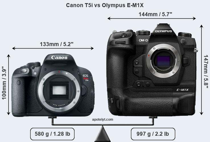 Size Canon T5i vs Olympus E-M1X