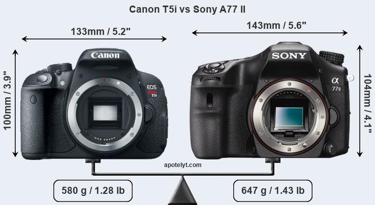 Size Canon T5i vs Sony A77 II