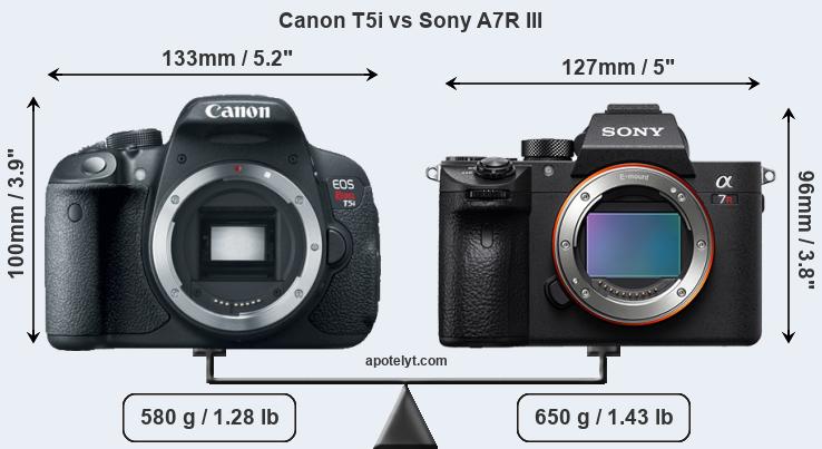 Size Canon T5i vs Sony A7R III