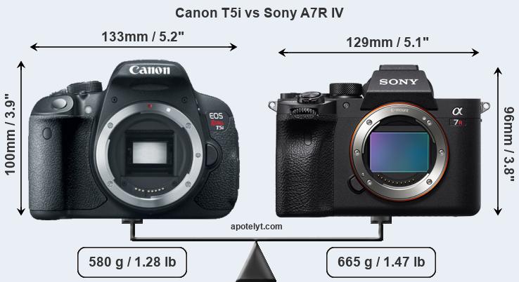 Size Canon T5i vs Sony A7R IV