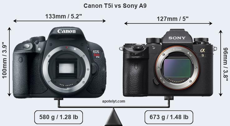 Size Canon T5i vs Sony A9