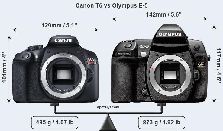 Size Canon T6 vs Olympus E-5