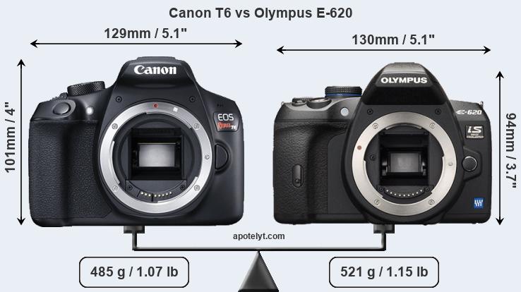Size Canon T6 vs Olympus E-620