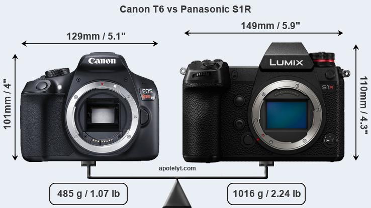 Size Canon T6 vs Panasonic S1R